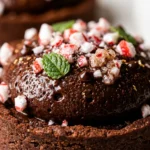 Dark Chocolate Peppermint Mousse Tart